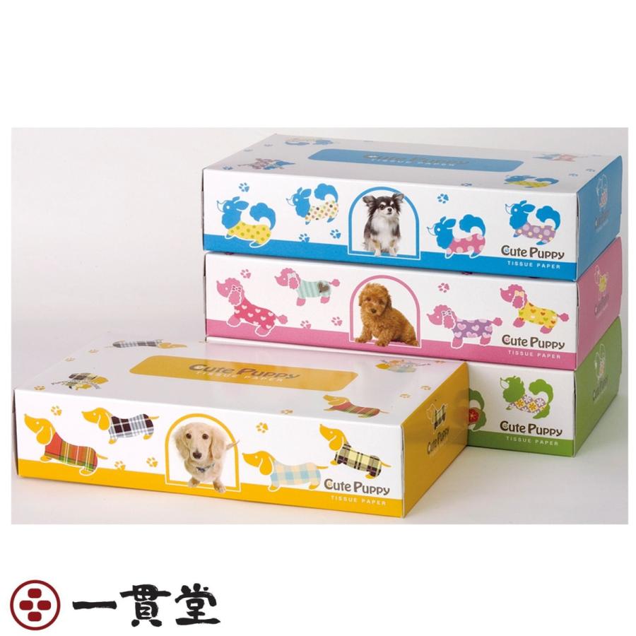 ボックスティッシュ 150W CutePuppyエコ寸150W  3P×20個(60個)  8セット  田子浦パルプ