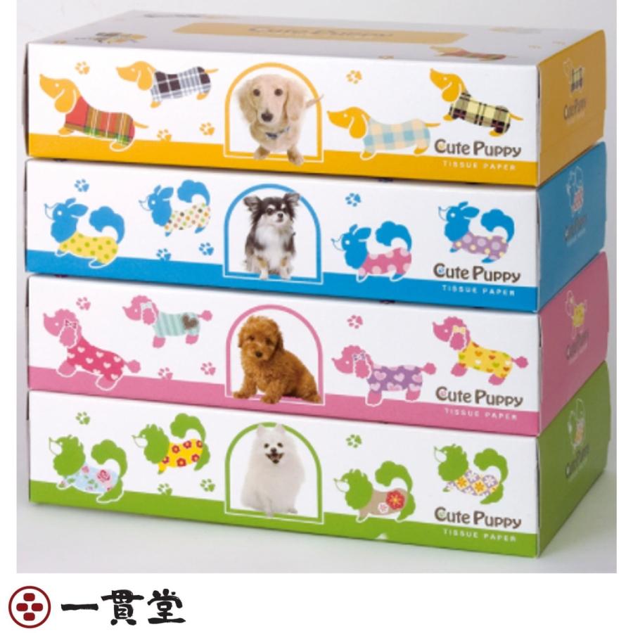 ボックスティッシュ150W CutePuppyエコ寸150W 5P×12個(60個)  8セット  田子浦パルプの画像