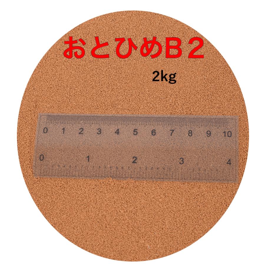 おとひめb2 2kg 新品未開封 0 36 0 62mm メダカ 送料無料 熱帯魚の餌に 公式 日清丸紅飼料 金魚