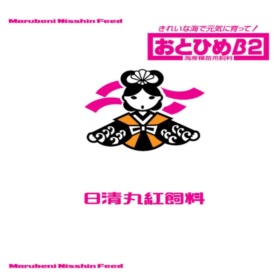 日清丸紅飼料 日清丸紅飼料おとひめB2(0.2〜0.36mm)10kg×5箱(50kg)降性 メダカの餌 稚魚の餌 グッピーのエサ｜ikkando-oosaka
