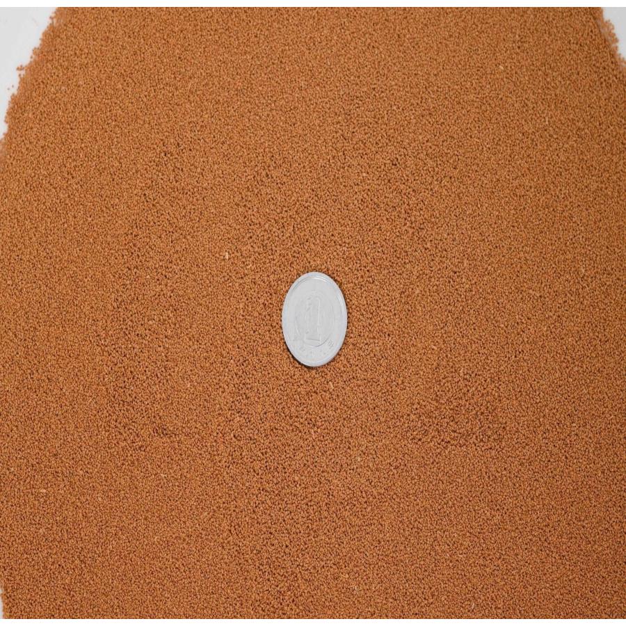 超安い おとひめB2 メダカのエサ 500g おとひめB2 2kg 新品未開封 (0.36〜0.62mm) 日清丸紅飼料 メダカ メダカの餌 金魚 金魚の餌 熱帯魚 熱帯魚の餌