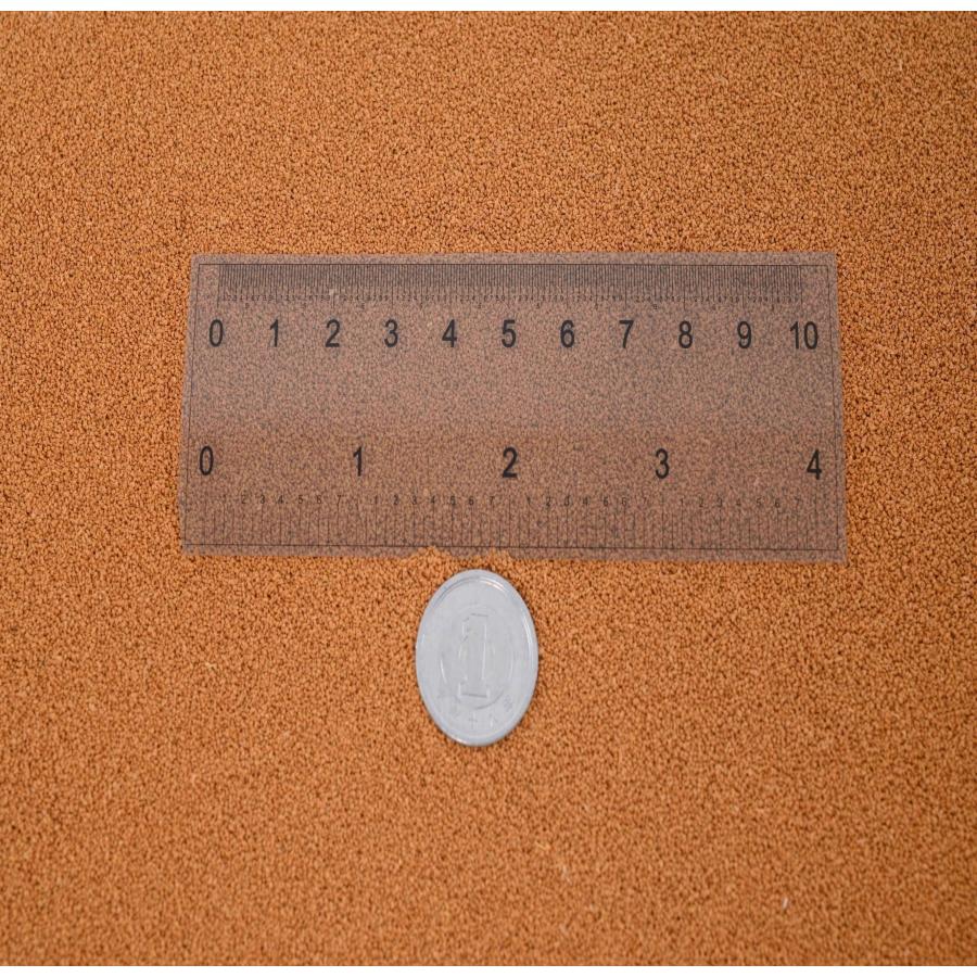 日清丸紅飼料 おとひめB2(0.36〜0.62mm)1kg(500g×2袋)小分け品 日清丸紅飼料 おとひめB2(0.36〜0.62mm)1kg(500g×2袋)小分け品
