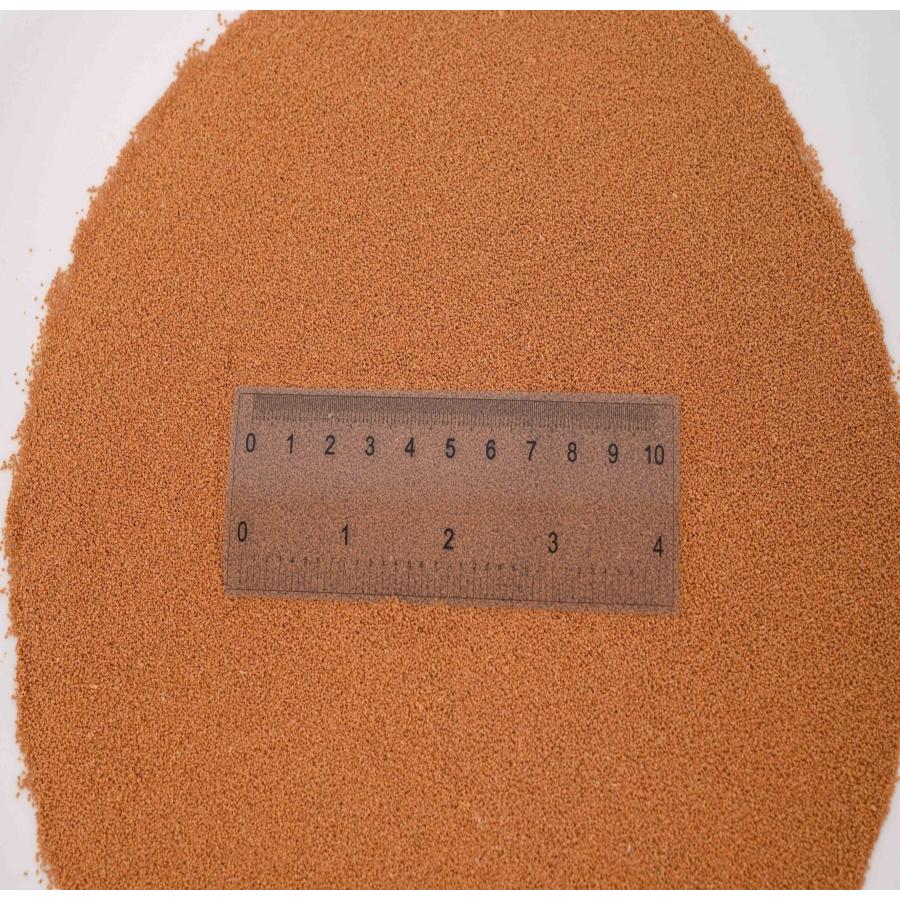 日清丸紅飼料 おとひめB2(0.36〜0.62mm)1kg(500g×2袋)小分け品 日清丸紅飼料 おとひめB2(0.36〜0.62mm)1kg(500g×2袋)小分け品