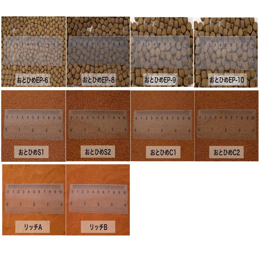 日清丸紅飼料 ライズ2号 1kg(500g×2袋） (粒径0.36mm) 小分け品 メダカ
