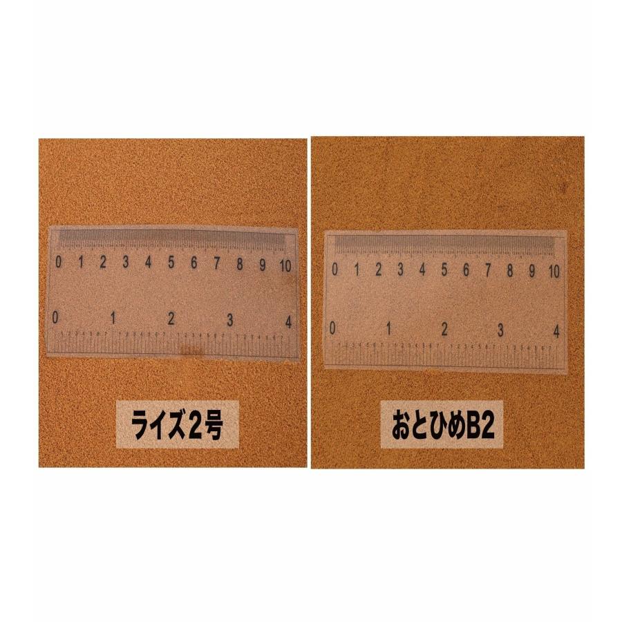 ▽新処方 日本動物薬品 勝鯉 L 浮上 15kg 送料無料 但、一部地域 ▽新処方 日本動物薬品 勝鯉 L 浮上 15kg 送料無料 但、一部地域