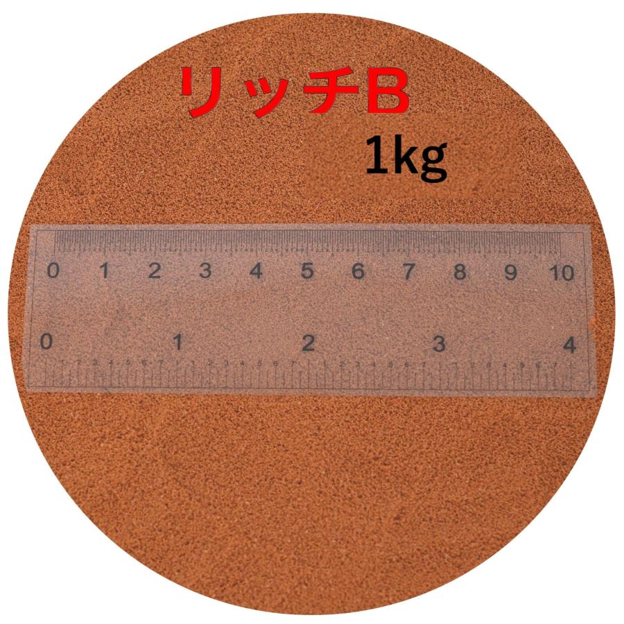 リッチB 1kg (500g×2) メダカ 金魚 熱帯魚の餌 ハイグロウ おと リッチB 1kg (500g×2) メダカ 金魚 熱帯魚の餌 ハイグロウ おと