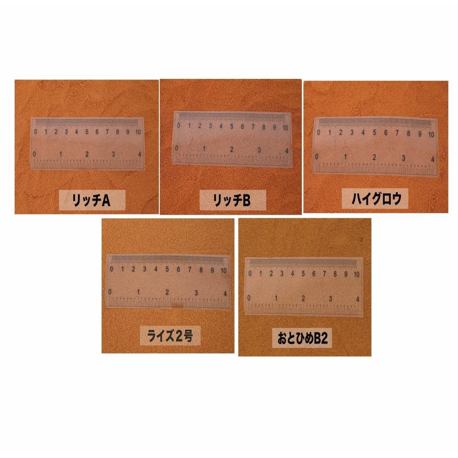 メダカの餌 リッチA 200g おとひめB2 ハイグロウ の代用 金魚