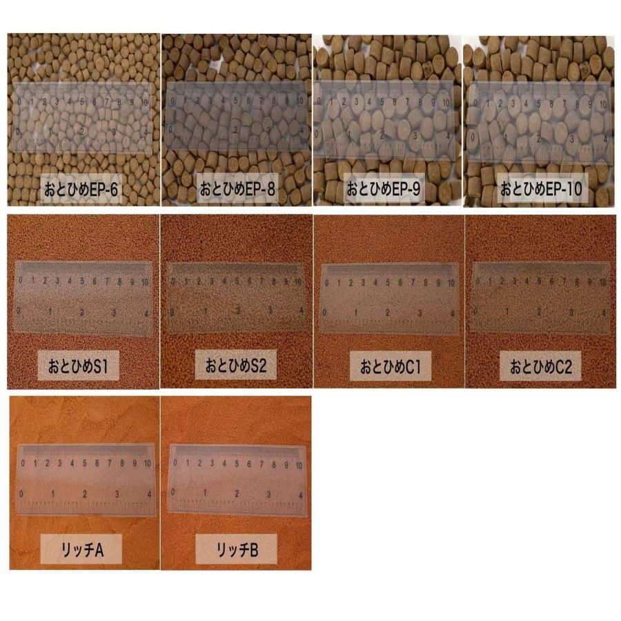 ハイグロウSS 100g (リパック品) メダカ 金魚 熱帯魚の餌 ハイグロウSS 100g (リパック品) メダカ 金魚 熱帯魚の餌