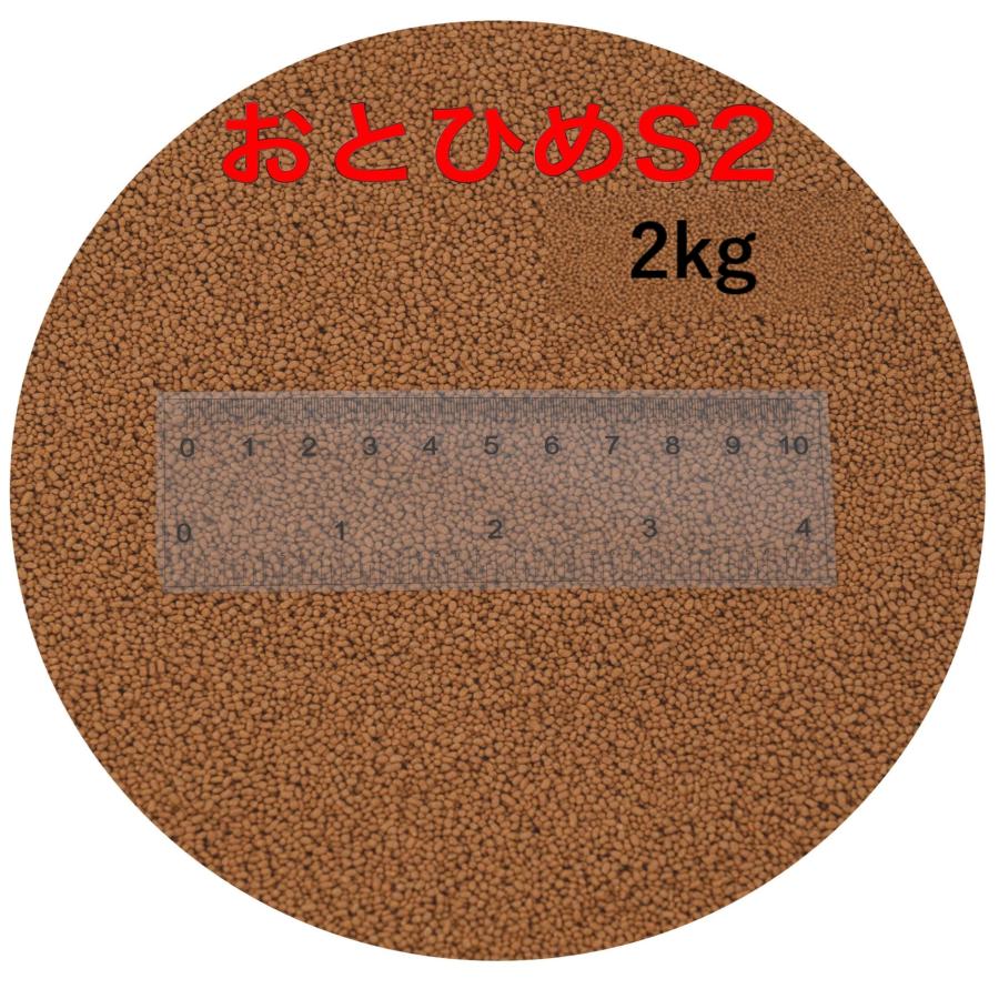 日清丸紅飼料 おとひめS2 2kg : 一貫堂 大阪府茨木市 - 通販 - Yahoo