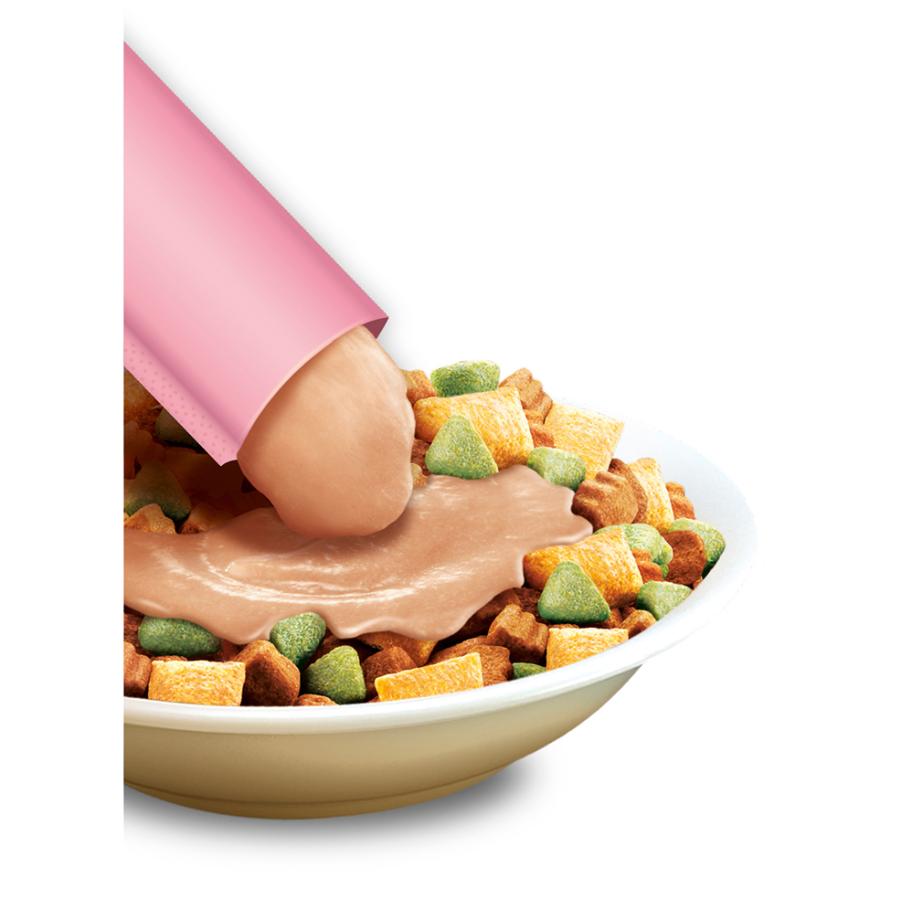 レトルトパウチバンドル品 [マース] シーザー トッピング あじわいチキン味とチキン＆野菜味 12g×16本 24個販売【1ケース販売】 