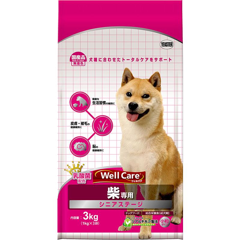 沖縄の年中行事―琉球の島々に息づいている神々の心 渡具知綾子 サイン