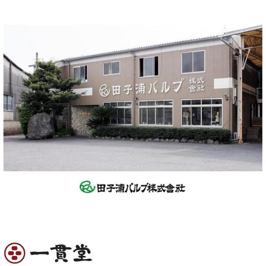 抗菌ティッシュPANOPE(パノペ) エコ寸150W(抗菌剤配合)  5P×12個(60個)  8セット  田子浦パルプの画像
