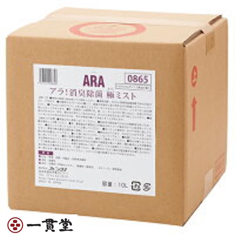 アラ!消臭除菌 極霞  10L  アリゾナ州の州都 6個