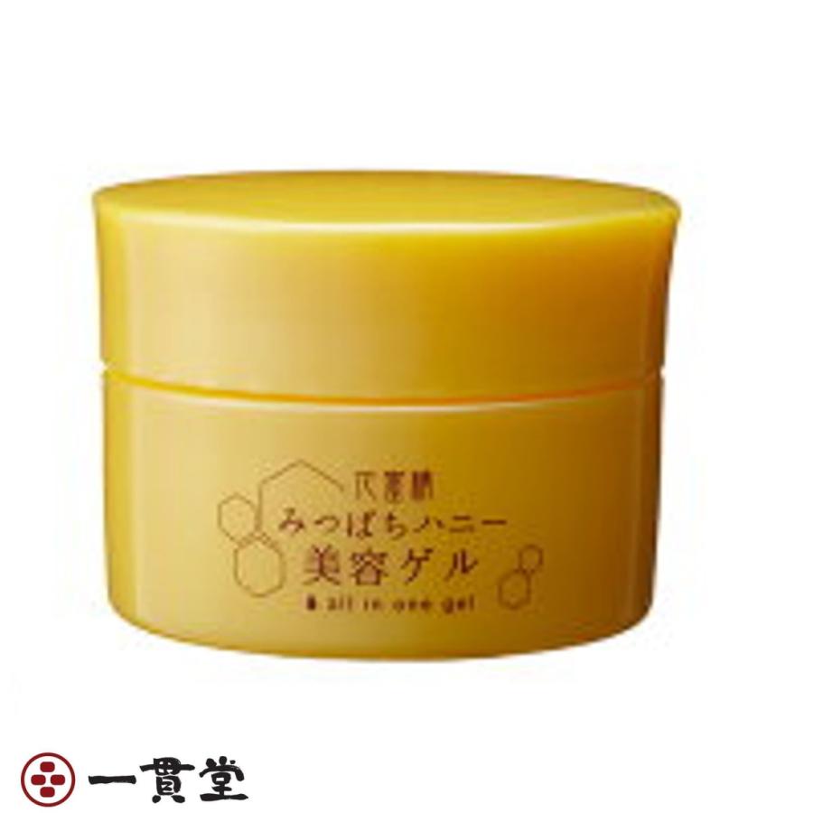 花蜜精みつばちハニー美容ジェル100g×15本 フェニックス 5セット