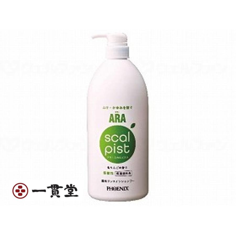 アラ!スカルピスト(ふけ取りシャンプー) 1000mL×10本 フェニックス 9セット