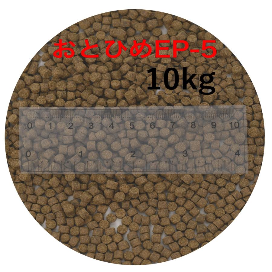 おとひめEP5 沈下性 10kg(1kg×10)　エイ エンドリ ダトニオ 沈降性(沈下性)日清丸紅飼料おとひめEP6(6.4〜5.4mm)900g小分け