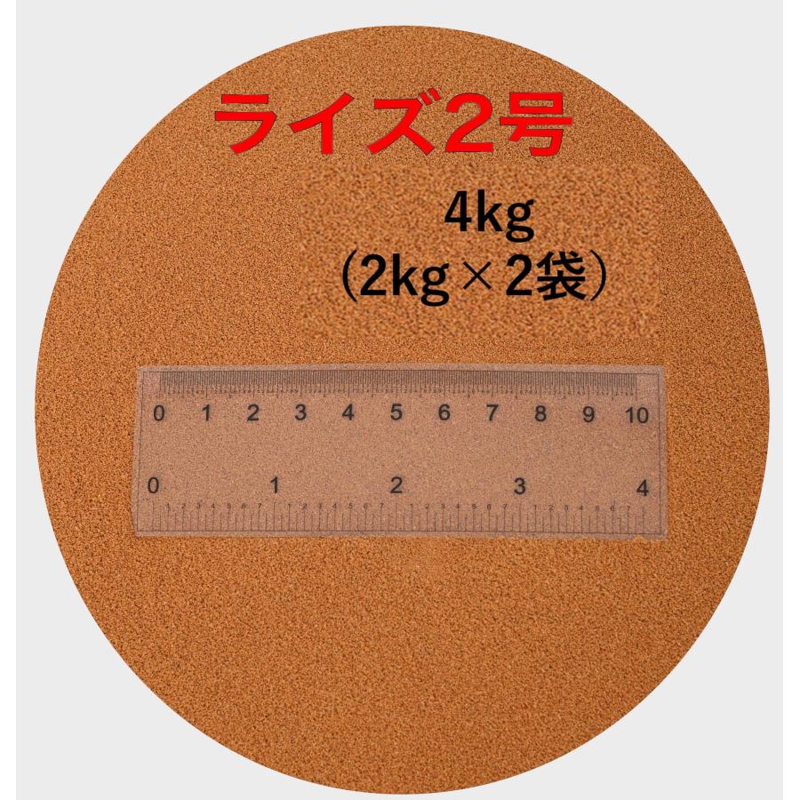 日清丸紅飼料 ライズ2号 2kg ×2袋(4kg) 新品未開封 粒径約0.36mm 