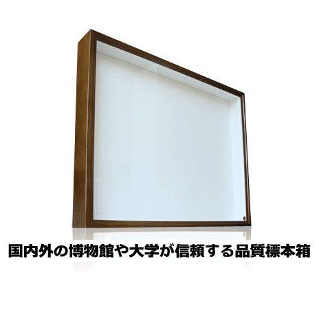 ドイツ型標本箱 BW60 【茶】 : モンスターYahoo!店 - 通販