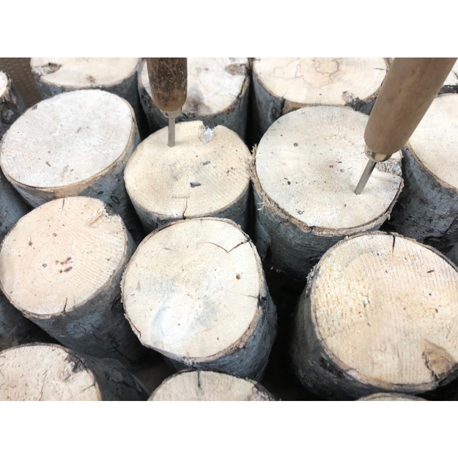 ■CH材（カエデ）産卵木LL　1本（長さ:約15cm、径:約10cm以上） |  | 02