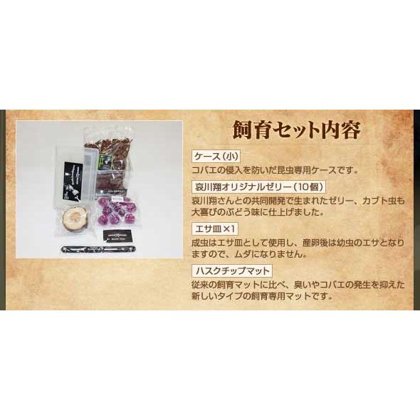 哀川翔の飼育セット |  | 01