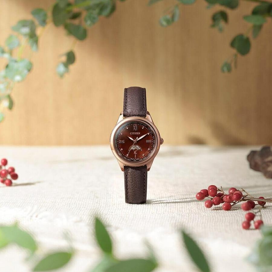 XC シチズン CITIZEN クロスシー daichi collection ソーラー 腕時計