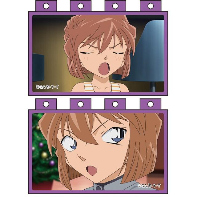 名探偵コナン アニメブロック 灰原がいっぱいコレクション BOX（8