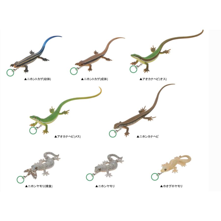 ネイチャーテクニカラーMONO PLUS トカゲとヤモリ めじるしマスコット