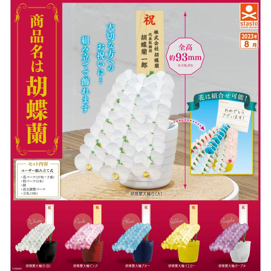 商品名は胡蝶蘭 全6種セット ガチャ : 壱刻館ヤフー店 - 通販 - Yahoo