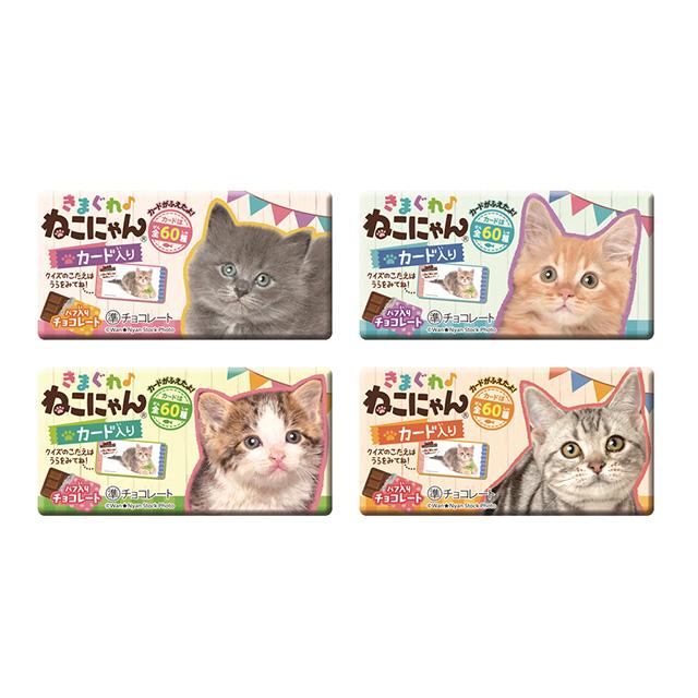 正栄デリシィ きまぐれねこにゃん 1枚×20入 : お菓子と食品のいっこ