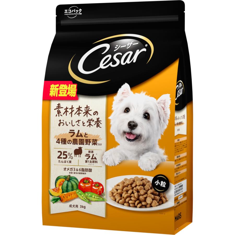 Junっちさま CANIN 小型犬用ドライフード S 2パック MARS マースジャパン シーザードライ 成犬用 ラムと4種の農園野菜入り