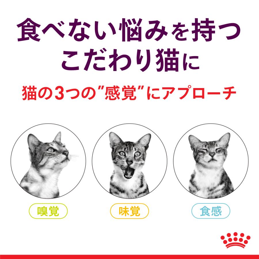 ロイヤルカナン キャット パウチ センサリー スメル 香りにこだわる成猫用 85g×12個セット（ボール販売）｜ikoapetfood｜03