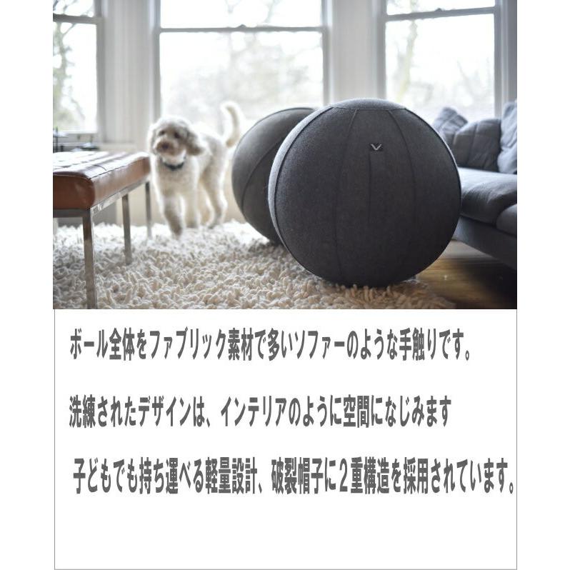 バランスボール 65cm ビボラ Vivora シーティングボール ルーノ