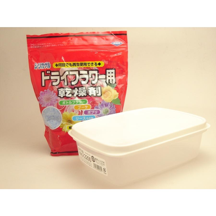 すぐ始めれる容器付き 花用乾燥剤 シリカゲル ドライフラワー用 細粒タイプ １ｋｇと容器セット 今季一番 ドライフラワー用