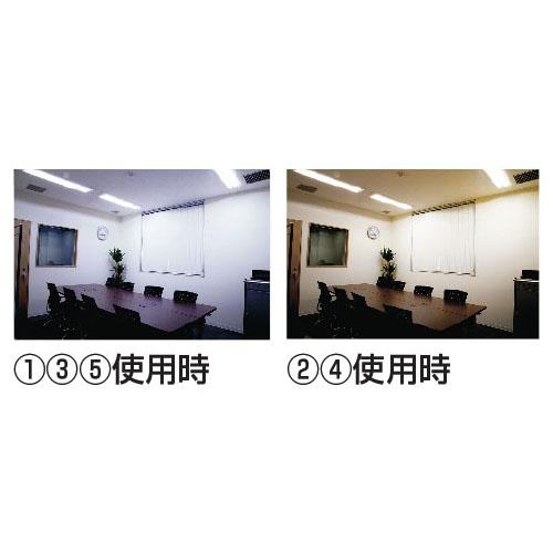 40形直管LEDライト LS1200(10本) （3）U2シリーズ昼白色 MGMT_1