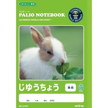 欲しいの パリオ学習帳 自由帳 1 うさぎ オキナ メール便対象商品 メール便6点まで Materialworldblog Com