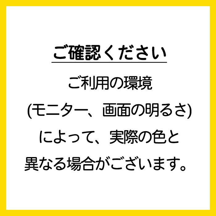 画用紙 色画用紙 フレッシュカラー 四ツ切 10枚 大王製紙 四つ切り みずいろ|ikurun0810|02