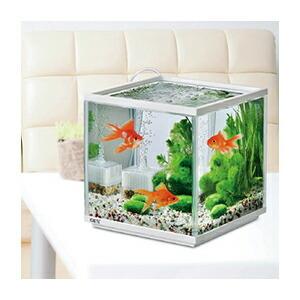 Sale 97 Off 金魚 魚 水槽 ジェックス 金魚元気キューブセット