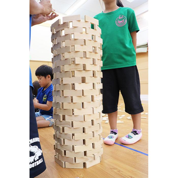 おもちゃ 積み木 つみき ブロック 木製 ドミノ ひらいたくん600 駒形