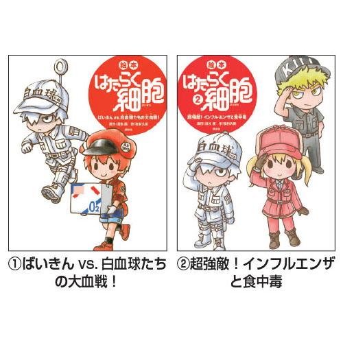 絵本 はたらく細胞 （6）おなかのなかで乳酸菌が大活躍！ 講談社 : い