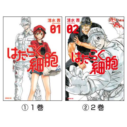 マンガ はたらく細胞 （1）1巻 講談社 : いくるんYahoo!ショッピング店