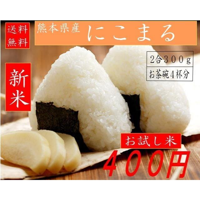 にこまる 300g送料無料 - お米 熊本県産 特別栽培米 精白米 令和 にこまる 300g送料無料 - お米 熊本県産 特別栽培米 精白米 令和