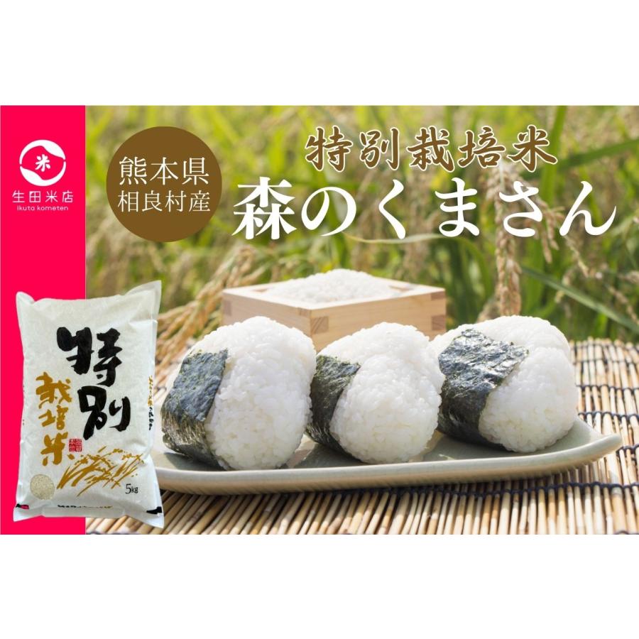 令和7年産新米 森のくまさん 10kg - お米 熊本県産 特別栽培米 精白米