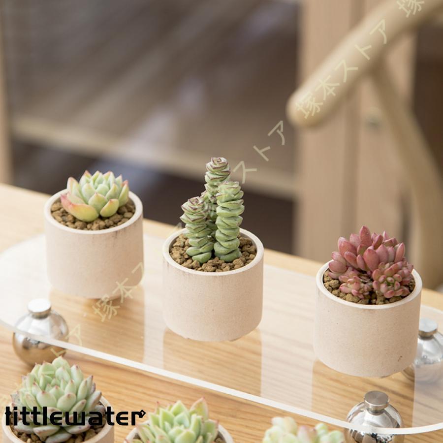 多肉植物鉢 植木鉢 テラコッタ 多底穴付き 5.5*5cm ミニ植物 ガーデン
