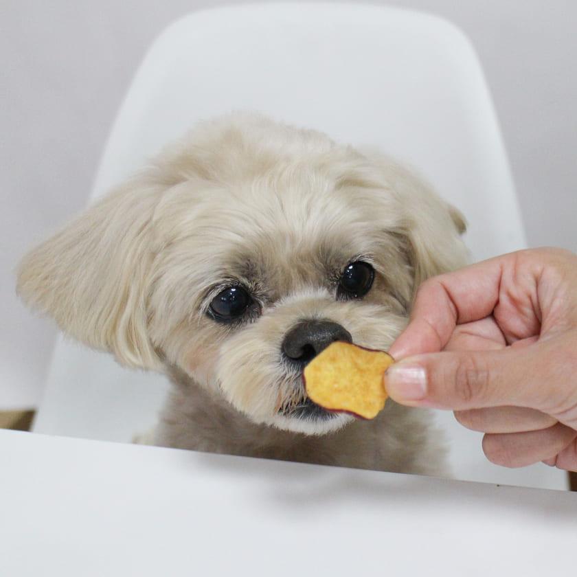 iliosmile（イリオスマイル） 犬 おやつ 乾燥野菜＆フルーツ/バナナ