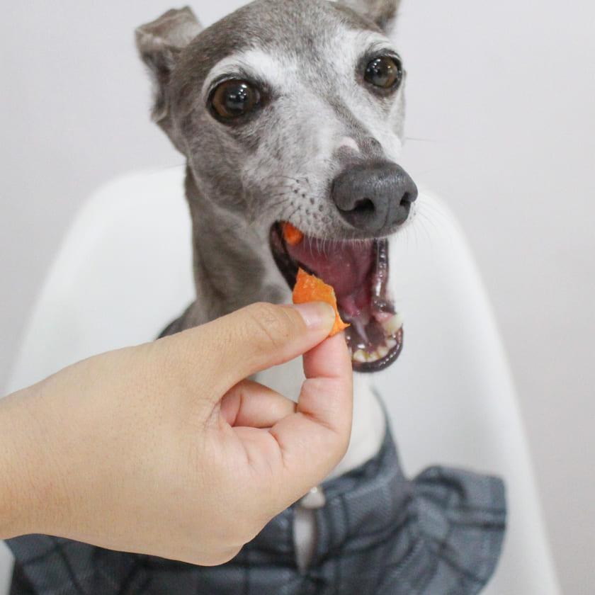 iliosmile（イリオスマイル） 犬 おやつ 乾燥野菜＆フルーツ/バナナ