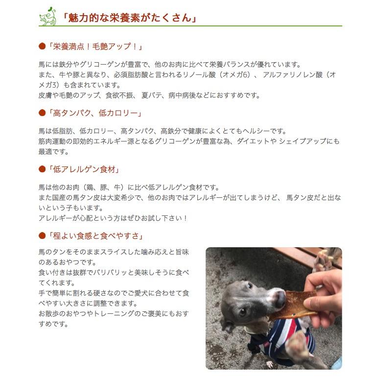 犬 おやつ ガム 無添加 馬タン皮 50g イリオスマイル ポイント消化 Fe0014 犬用自然派おやつ専門店iliosmile 通販 Yahoo ショッピング