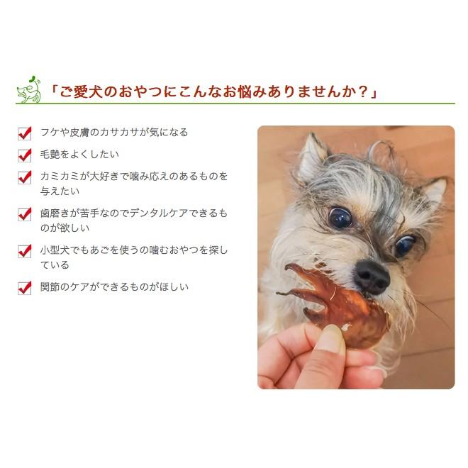 犬 おやつ とさか 無添加 国産 兵庫県産 鶏とさか 300ｇ イリオスマイル ポイント消化 Fe0037 犬用自然派おやつ専門店iliosmile 通販 Yahoo ショッピング