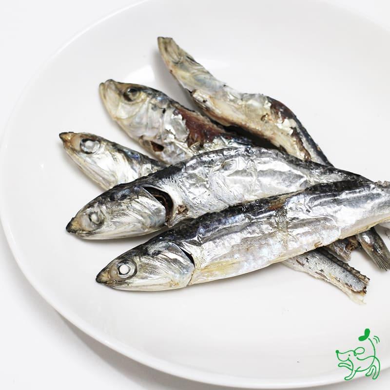 iliosmile（イリオスマイル） 犬 おやつ 無添加 国産 愛媛産 いわし