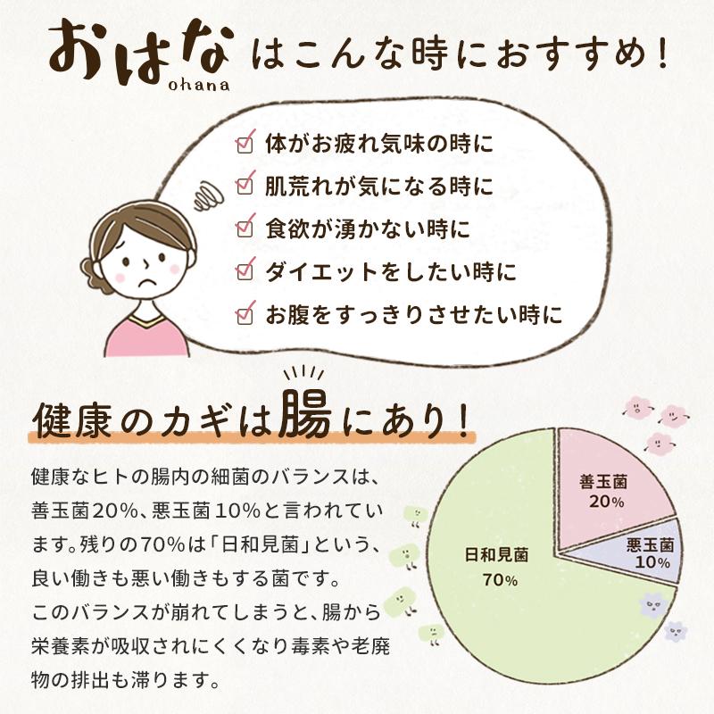 米糀ノンアルコール甘酒+乳酸菌 150g おはな -ohana- プレーン 玄米 へべす キウイ トマト ぶどう/犬 無添加 腸活 ギフト　ポイント利用 お試し商品 サンプル | iliosmile | 15