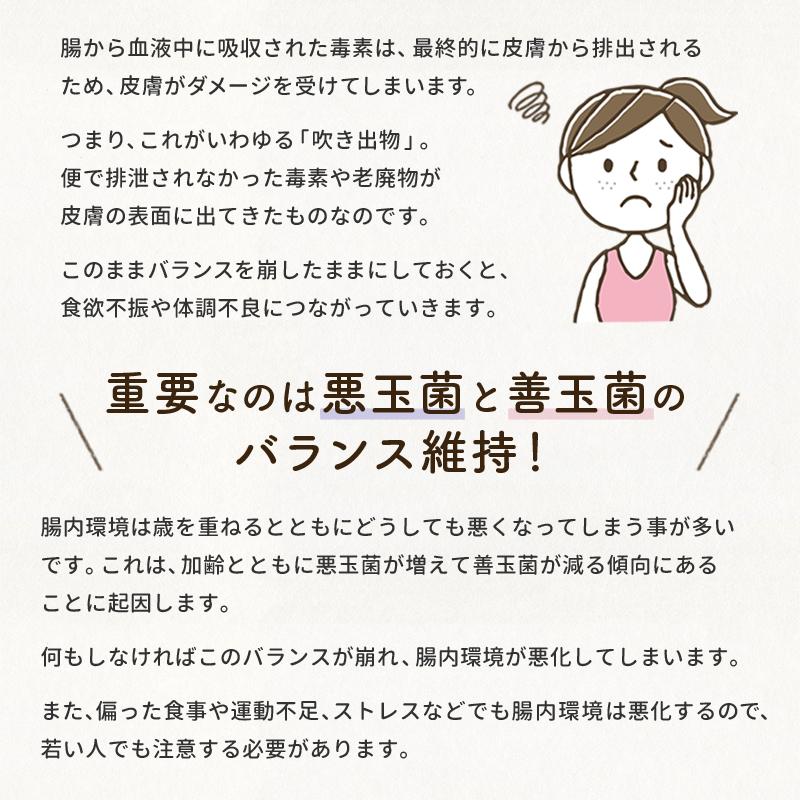 米糀ノンアルコール甘酒+乳酸菌 150g おはな -ohana- プレーン 玄米 へべす キウイ トマト ぶどう/犬 無添加 腸活 ギフト　ポイント利用 お試し商品 サンプル | iliosmile | 16
